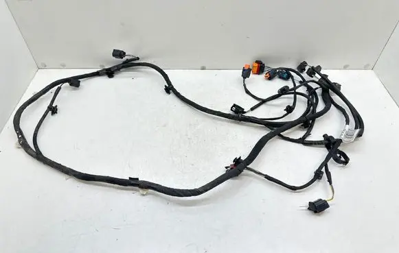 Renault Scenic IV - Grand scenic IV Other wiring loom 403884873R