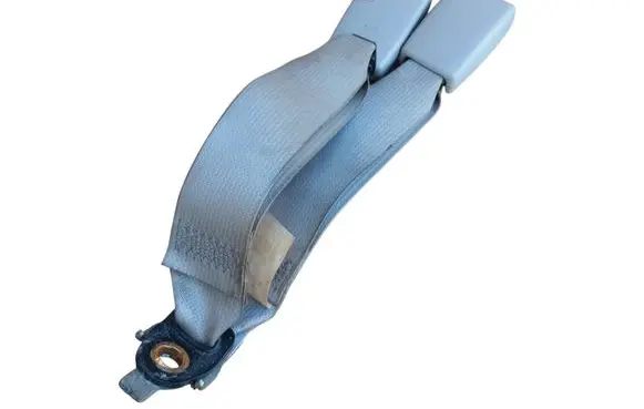 Chrysler 300 - 300C Rear seatbelt buckle 1BY491D1AA