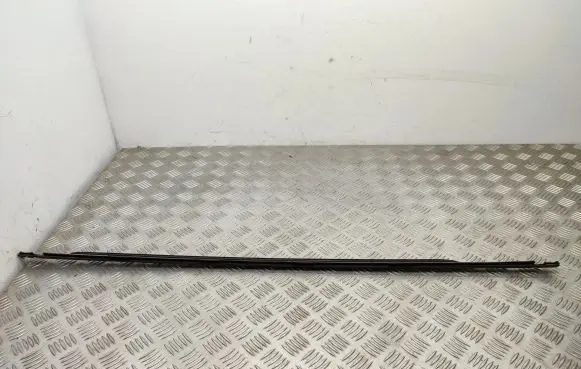 Fiat 500L Rear door glass trim molding