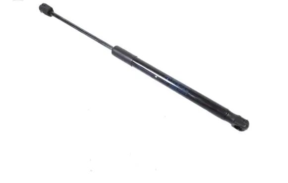 Tailgate strut