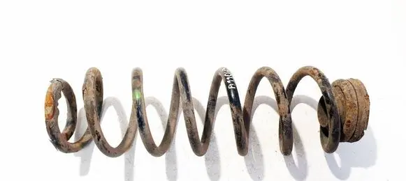 Skoda Praktik (5J8) Rear coil spring 