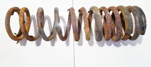 Ford Focus Rear coil spring