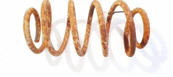 Rear coil spring