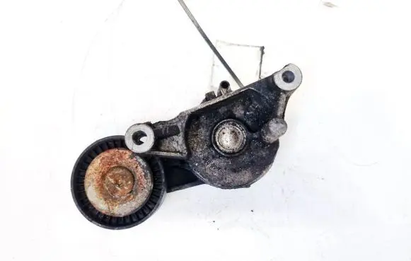 Skoda Octavia Mk2 (1Z) Generator/alternator belt tensioner 03g903315a