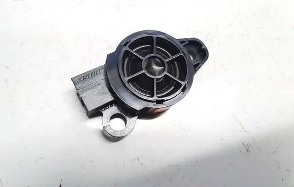 Nissan Leaf I (ZE0) Front door speaker 3224520020