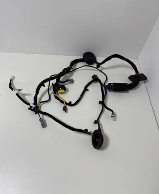 Front door wiring loom