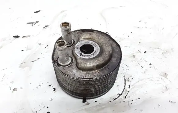 Nissan Navara D40 Engine oil radiator NOCODE
