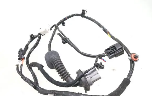 Hyundai i10 Rear door wiring loom 91650B9070