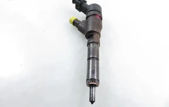 Peugeot Boxer Fuel injector 9641742880 0445110076