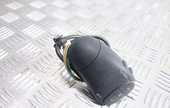 Renault Scenic I Sound control switch 