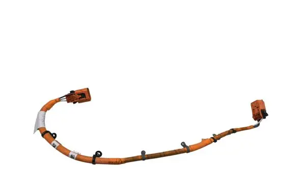 Other wiring loom
