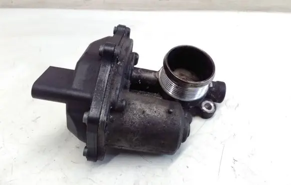 Volkswagen Sharan Throttle valve A2C96089300 04L131501M