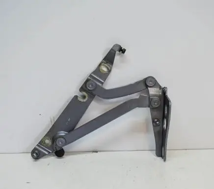 Tailgate/trunk/boot hinge