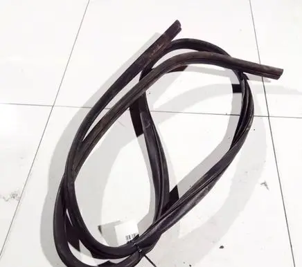 Ford Focus C-MAX Rubber seal rear door 