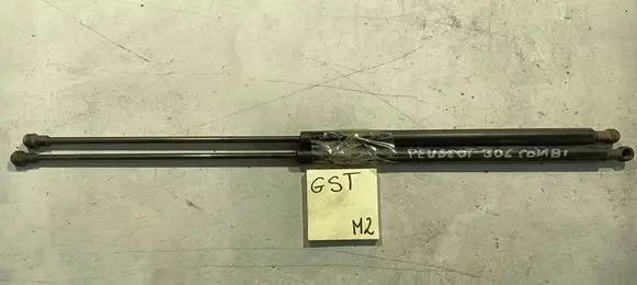Peugeot 306 Tailgate/trunk strut/damper 9624450980