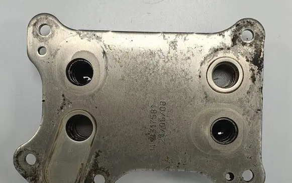 Fiat Punto (188) Engine oil radiator 55193743