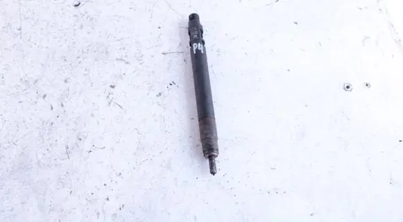 Peugeot Expert Fuel injector 9686191080