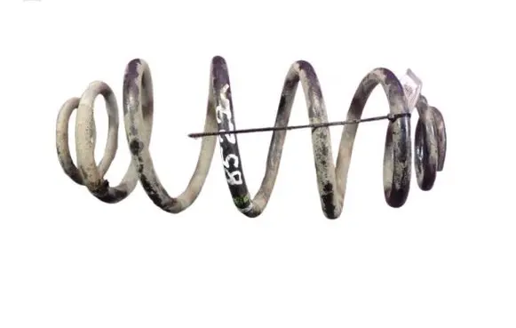 Rear coil spring