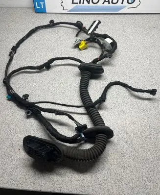 Front door wiring loom