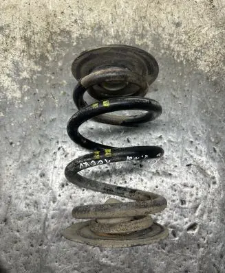 BMW 3 E46 Rear coil spring