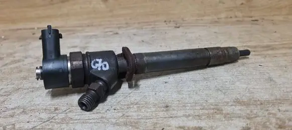 Volvo C70 Fuel injector 0445110298