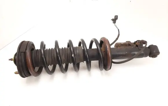 Hyundai Centennial Rear shock absorber with coil spring 