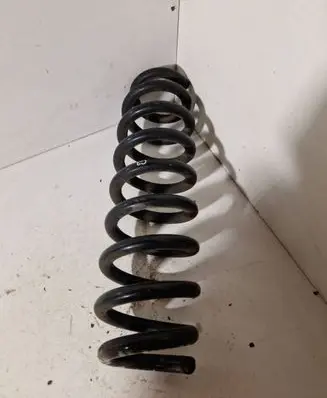 Rear coil spring