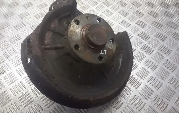 Volkswagen Golf Plus Rear wheel bearing hub 