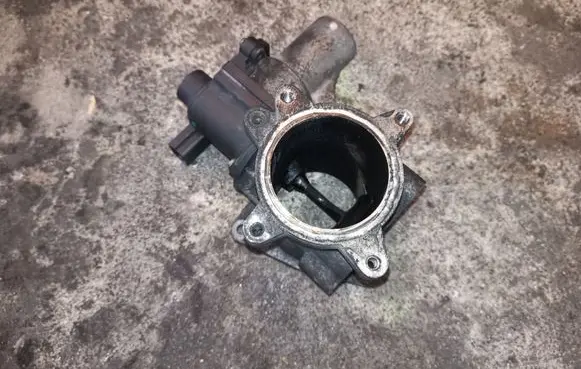 Volkswagen Transporter - Caravelle T5 EGR valve 700823040