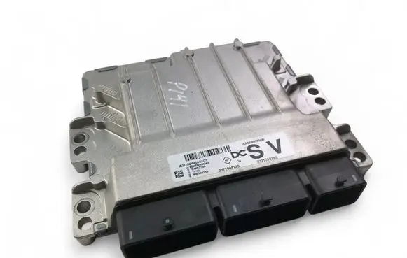 Engine control unit/module ECU