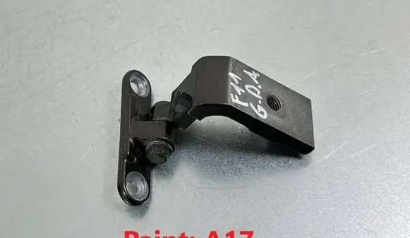 Rear door lower hinge