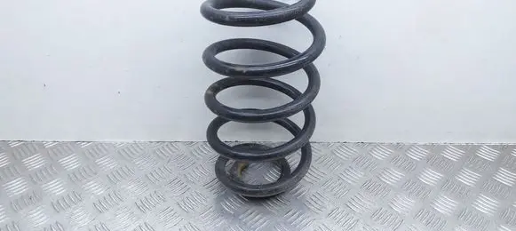 Rear coil spring