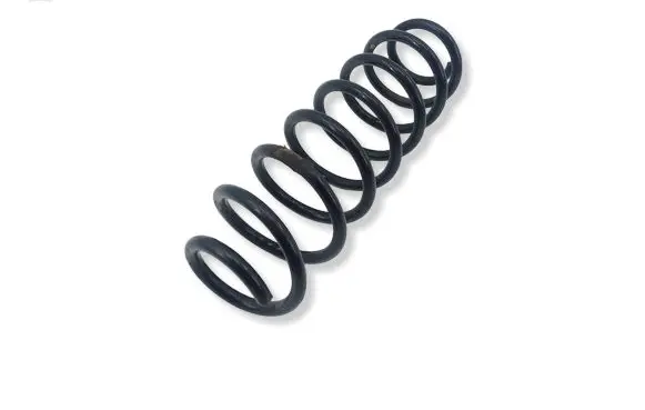 Honda Civic IX Rear coil spring 