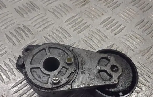 Fiat Punto (188) Alternator belt tensioner pulley 