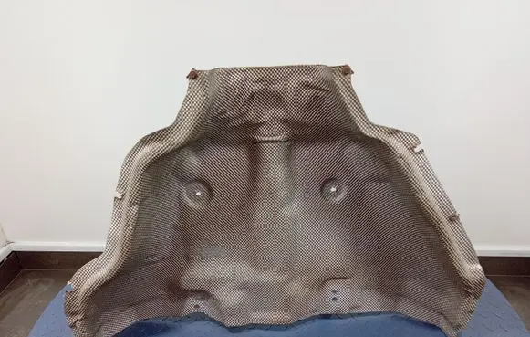 BMW X6 E71 Exhaust heat shield 7158416