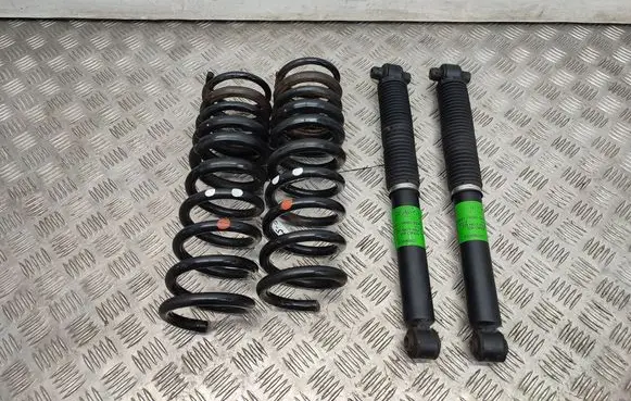 Rear coil spring