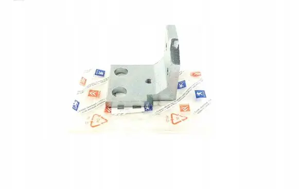Citroen Berlingo Rear door lower hinge 871771