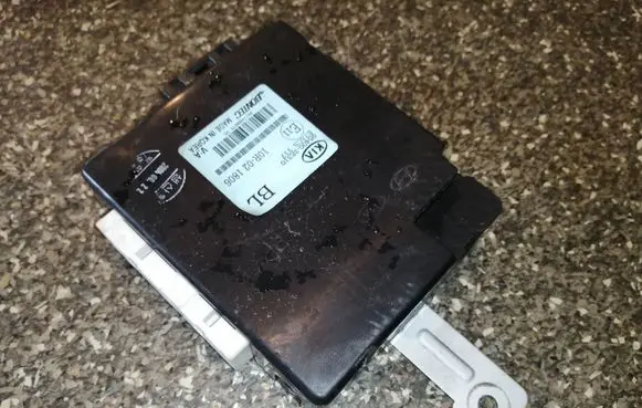 KIA Sorento Other control units/modules 954003E310