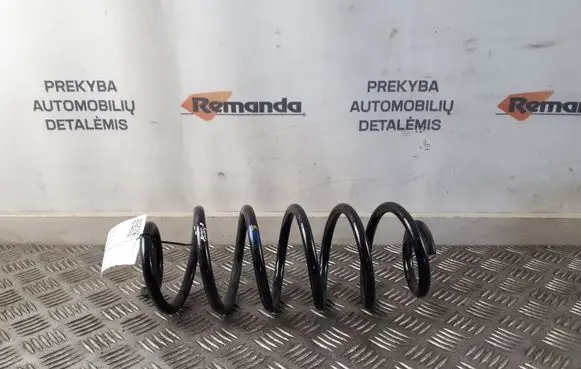 Rear coil spring