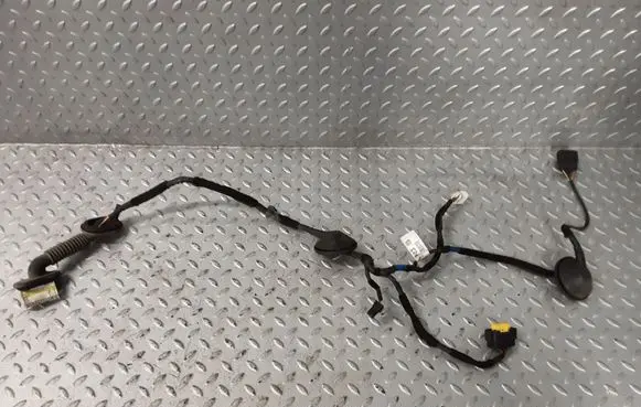 Rear door wiring loom