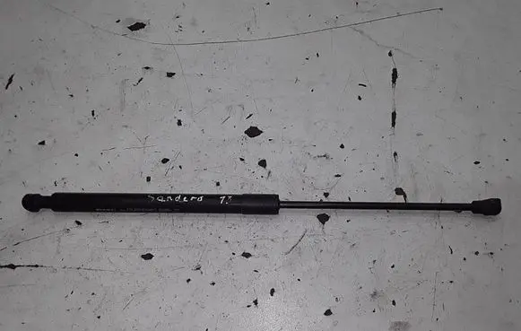 Dacia Sandero Tailgate/trunk strut/damper 904529943R