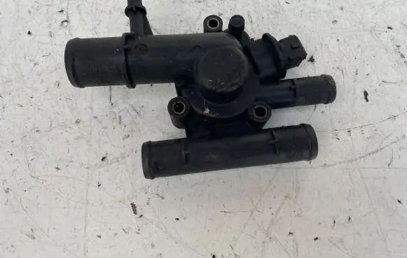 Thermostat/thermostat housing
