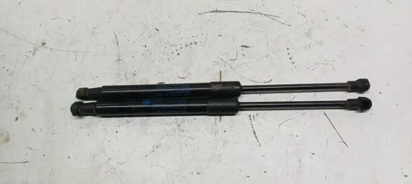 BMW X1 E84 Front bonnet/hood damper/strut 51232990344 0198720450N 261419A31