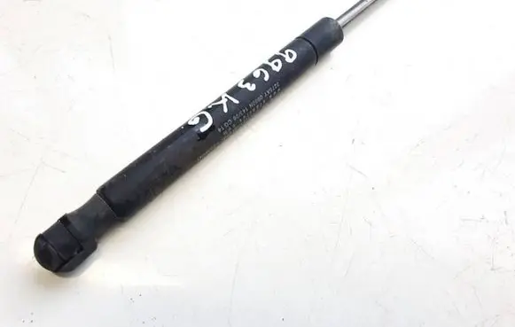 Tailgate/trunk strut/damper