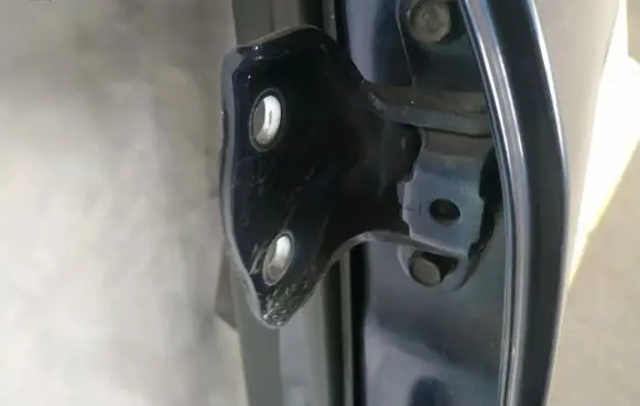 Hyundai Santa Fe Rear door lower hinge