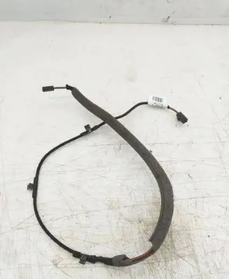 Other wiring loom