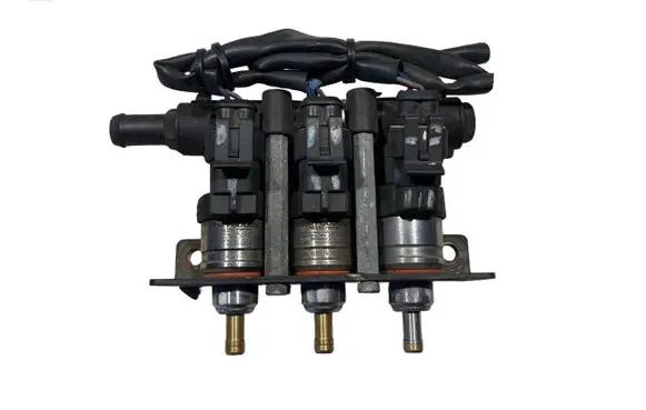 Volkswagen Phaeton LP gas injector 67R016409 110R006410