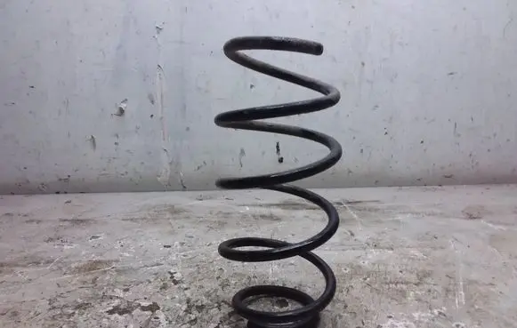 Fiat Doblo Rear coil spring