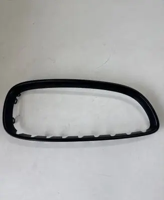 BMW Z4 E89 Front grill R40502055