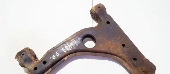 Front lower control arm/wishbone